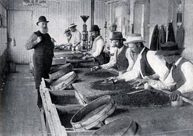 Early diamond sorters