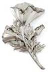 Friedell poppy pin
